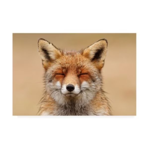Roeselien Raimond 'Zen Fox Red Portrait' Canvas Art, 30x47, Trademark Fine Art, Mfr#: IC02040-C3047GG